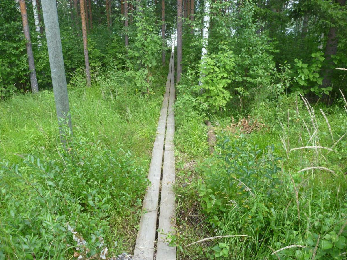 Коттедж В Финляндии, Enonkoski Eksteriør billede