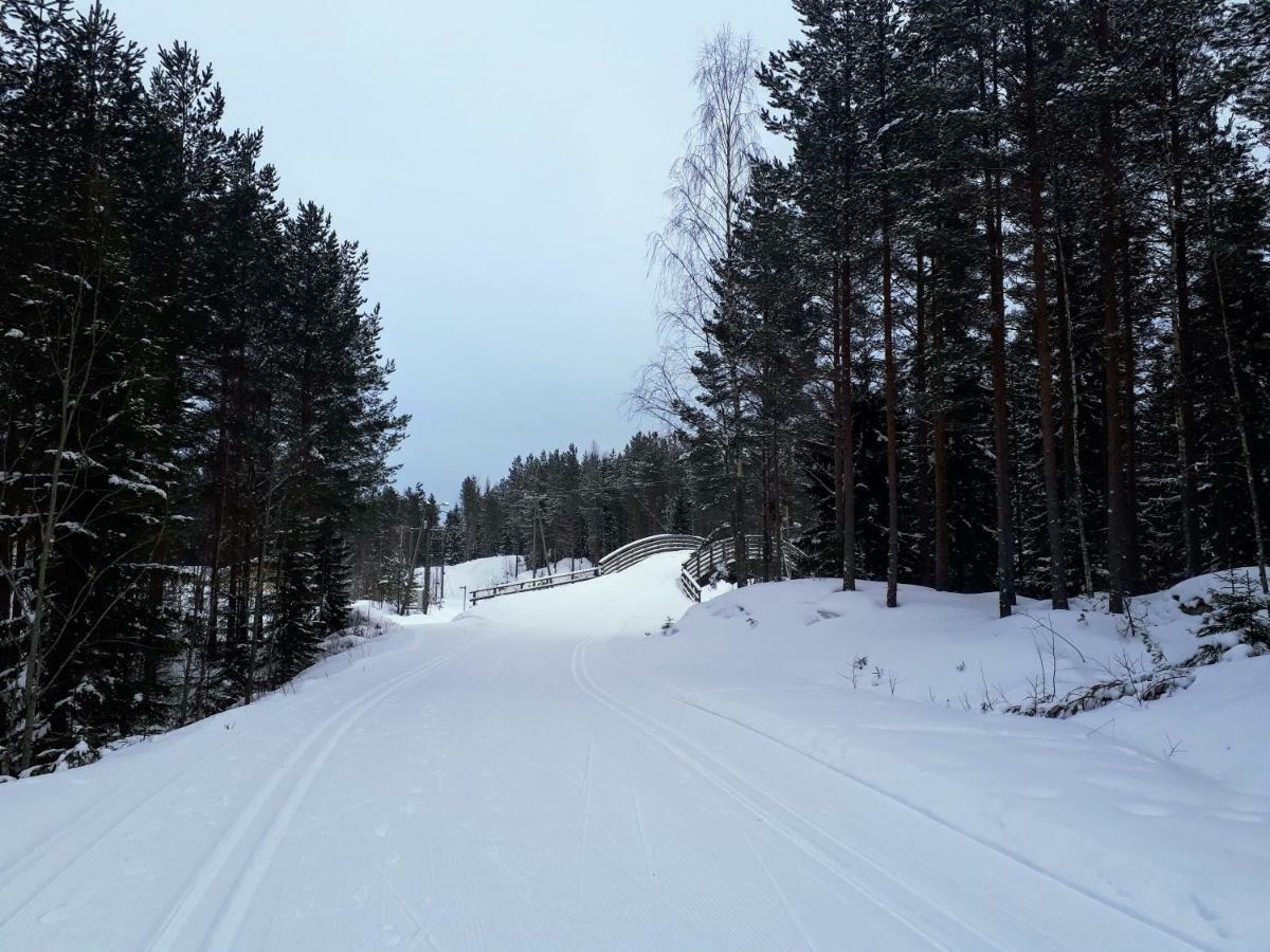 Коттедж В Финляндии, Enonkoski Eksteriør billede